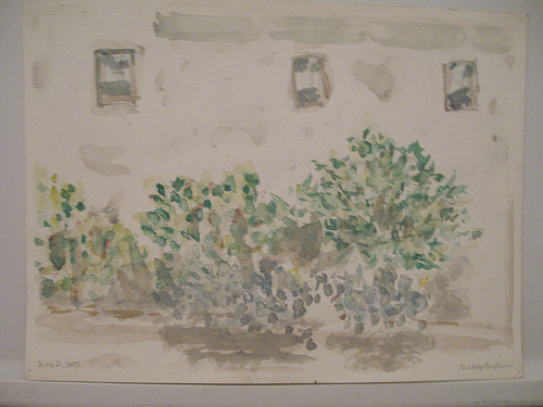 Plants Watercolor
